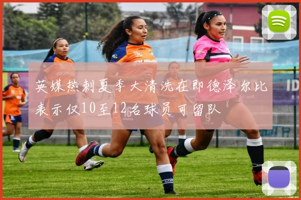 英媒热刺夏季大清洗在即德泽尔比表示仅10至12名球员可留队