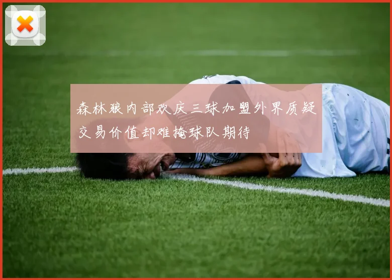 森林狼内部欢庆三球加盟外界质疑交易价值却难掩球队期待