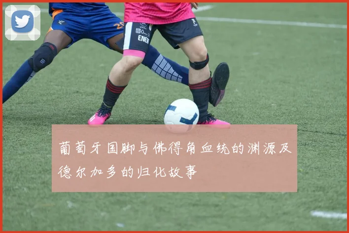 葡萄牙国脚与佛得角血统的渊源及德尔加多的归化故事