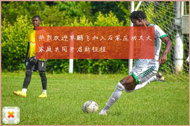 热烈欢迎单鹏飞加入石家庄功夫大家庭共同开启新征程